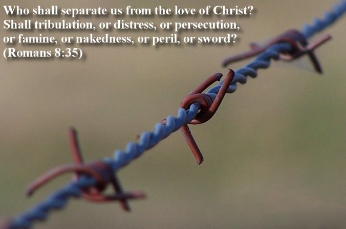 2267420091_6daf2b9d65_o