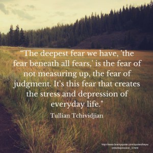 the-deepest-fear-we-have-the-fear-beneath-all-fears-is-the-fear-of-not-measuring-up-the-fear-of-judgment-its-this-fear-that-creates-the-stress-and-depression-of-everyday-life