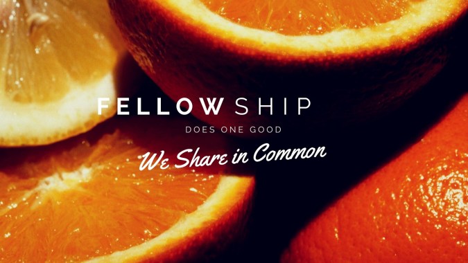 Fellow
