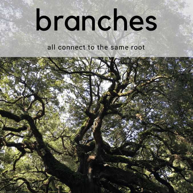 branches