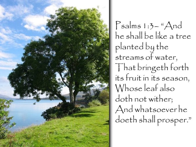 psalm 1